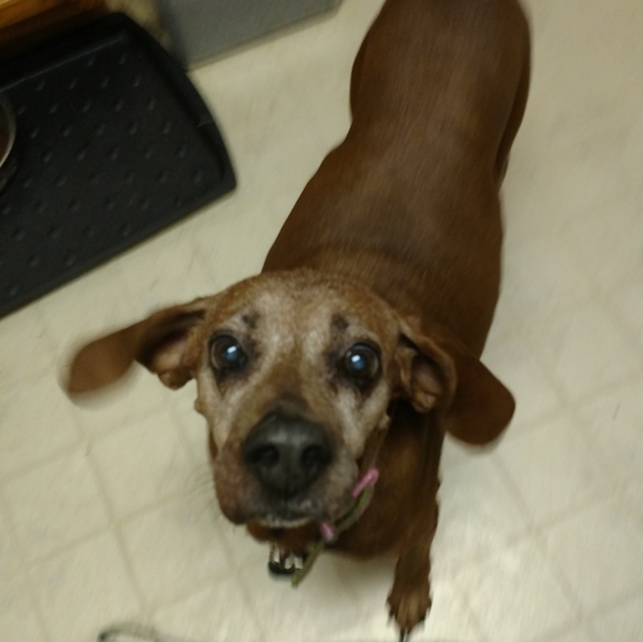 Meet your Posher, T - Picture 2 of 2